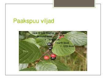 Harilik paakspuu #6