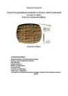 Sumerite leiutised