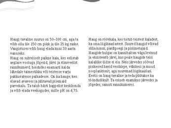 Havi ehk haug #4