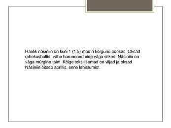 Harilik näsiniin #5
