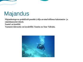 Korallimeri #14