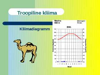 Kliimavöötmed #15