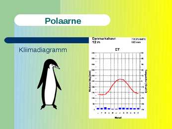 Kliimavöötmed #23