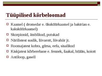 Kõrbed #11