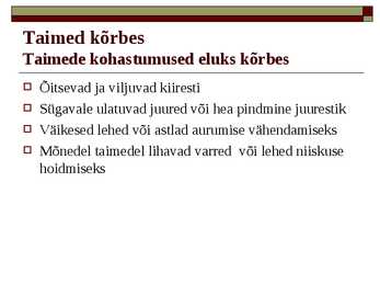 Kõrbed #8