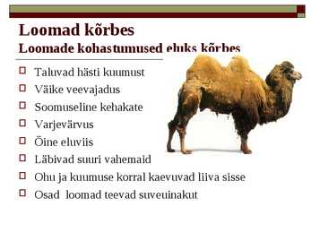 Kõrbed #10
