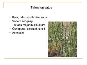 Ökoloogiline ehk mahepõllumajandus #4