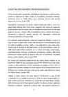 Loov organisatsioon #6