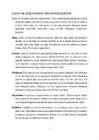 Loov organisatsioon #8
