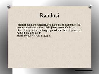 Osjad powerpoint #12