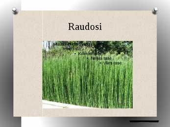 Osjad powerpoint #13