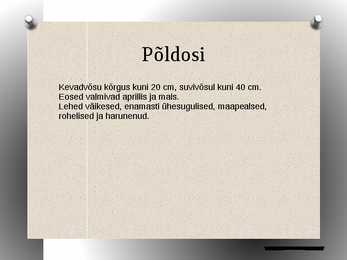 Osjad powerpoint #4