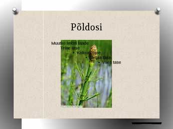 Osjad powerpoint #5