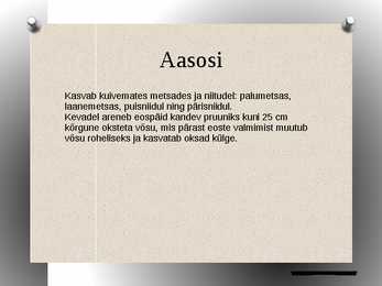 Osjad powerpoint #8