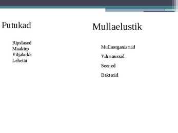 Teravili monokultuuris-tavaviljelus #4