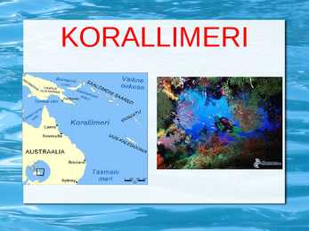 Korallimeri
