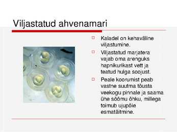 Kalade ehitus ja mitmekesisus #12