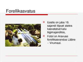 Kalade ehitus ja mitmekesisus #27