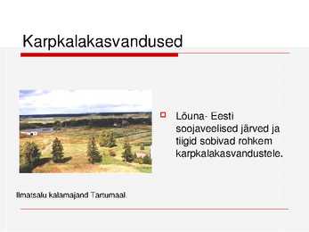 Kalade ehitus ja mitmekesisus #29