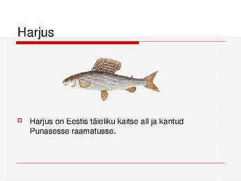 Kalade ehitus ja mitmekesisus #31