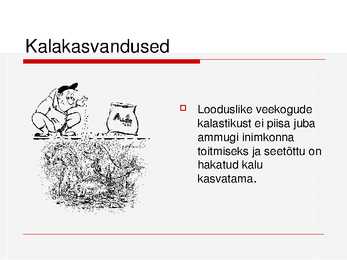 Kalade ehitus ja mitmekesisus #33