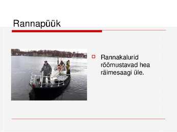 Kalade ehitus ja mitmekesisus #36