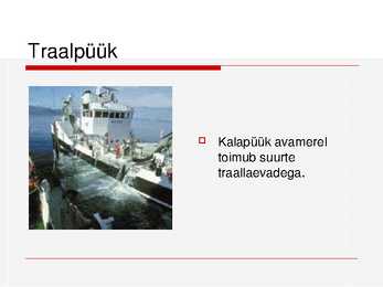 Kalade ehitus ja mitmekesisus #37