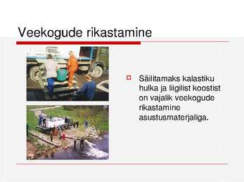 Kalade ehitus ja mitmekesisus #40