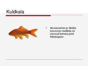 Kalade ehitus ja mitmekesisus #42