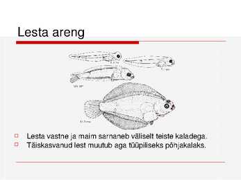 Kalade ehitus ja mitmekesisus #6