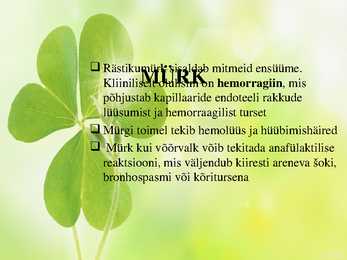 Rästikuhammustus #4