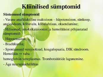 Rästikuhammustus #6