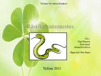 Rästikuhammustus