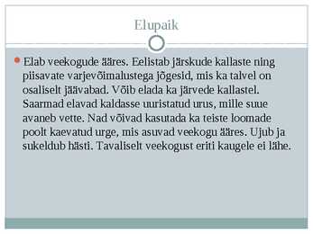 Saarmas #5