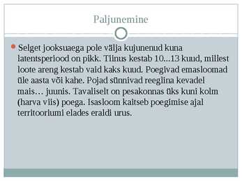 Saarmas #9