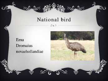 Australian symbols #11