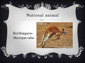 Australian symbols #10
