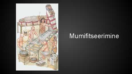 Palsameerimine #6