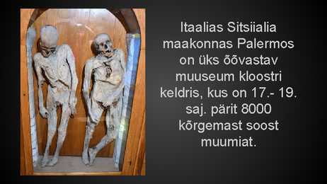 Palsameerimine #9