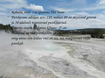 Geisrid #4