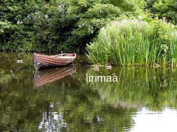 Iirimaa