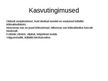 Hõlmikpuu ehk ginko Ginko biloba #3