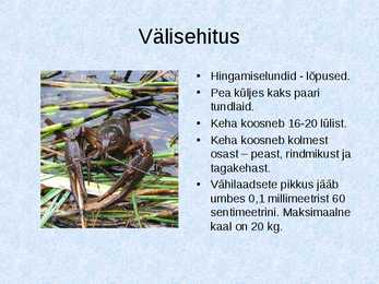 Vähilised #3