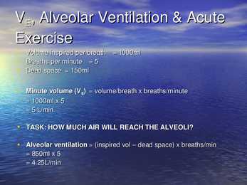 Exercise Physiology - lecture 1 #11