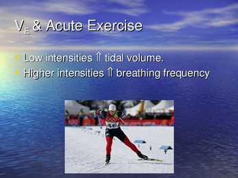 Exercise Physiology - lecture 1 #12