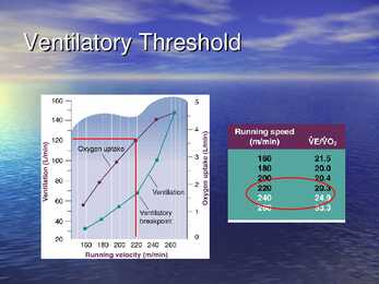 Exercise Physiology - lecture 1 #16