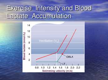 Exercise Physiology - lecture 1 #17