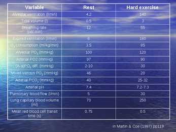 Exercise Physiology - lecture 1 #18