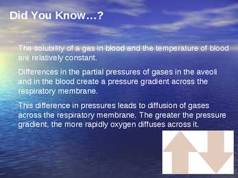 Exercise Physiology - lecture 1 #4