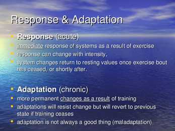 Exercise Physiology - lecture 1 #6